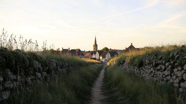 Les meilleures techniques de débroussaillage à Auray
